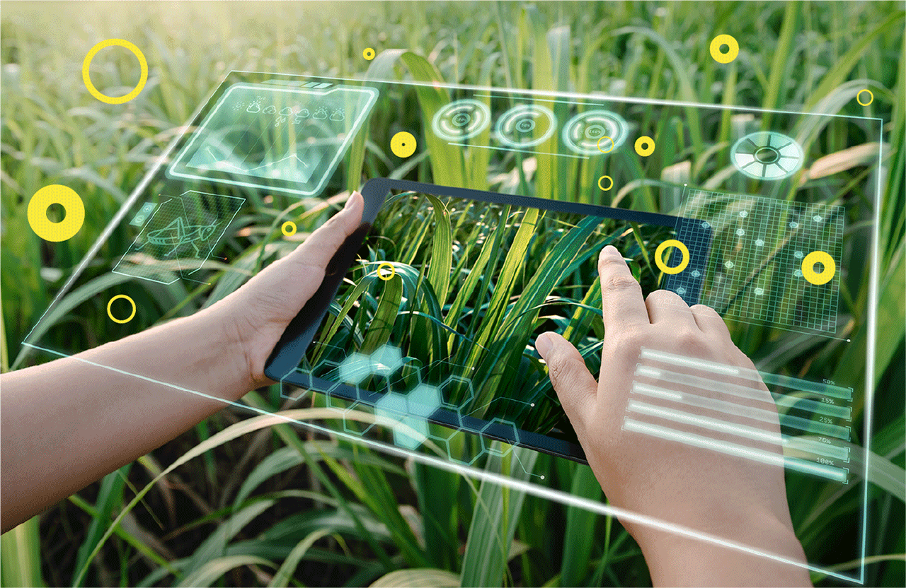 Agritech dan Masa Depan Pertanian Modern