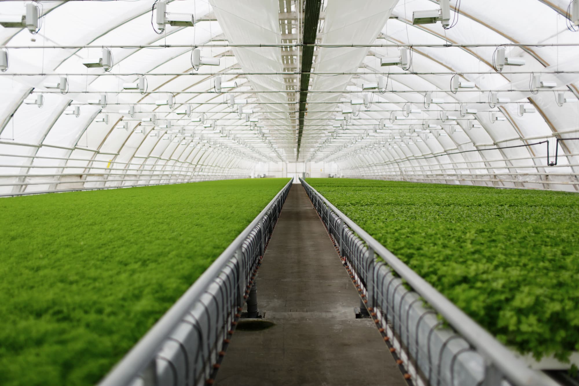 Smart Greenhouse: Masa Depan Pertanian Modern
